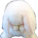 bunnysad Discord Emoji from ۶ৎ　‿　cemetery　 ݁ 　˖