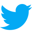 twitter Discord emoji