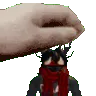 2564pettingalexroblox