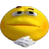 e_ong e_ong