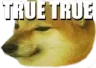 truetrue