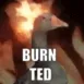 BurnTed