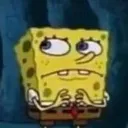 spongeumm