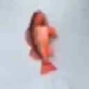 fis