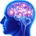 x_bigbrain