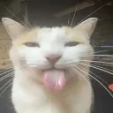 bleh bleh
