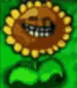 trollflower