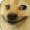 weirddoge