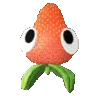 bertje