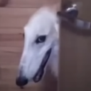 hehe Discord emoji