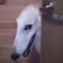 hehe