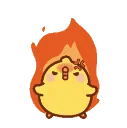 chickyrage