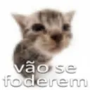 TST_vaosefode