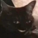 gatoSinistro_risos_FemboySlut