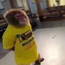 erm