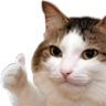 catthumbsup2 Discord emoji