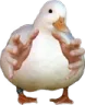 grabbyduck
