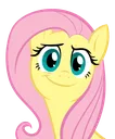 fluttersmile