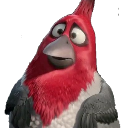 ConcernedPedro Discord emoji