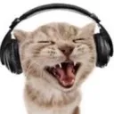 meow