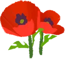 poppy