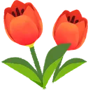 tulip