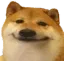 KomischerHund2