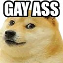 gayassHD