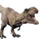 rexy