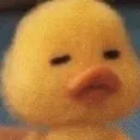 ducc_sus Discord Emoji