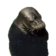 sealPls