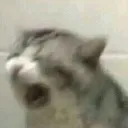 angryahhhhhh angryahhhhhh