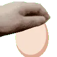 pet_egg