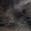 TheCold