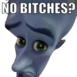 nobitches
