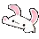 bunnybongo