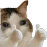 CatDoubleThumb