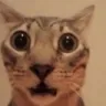 shocked