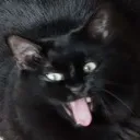 lightah