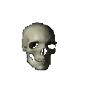 spinningskull