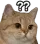catQuestion