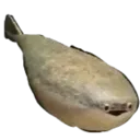 feesh feesh