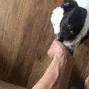 dont