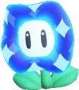 wonderflower wonderflower