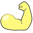 muscles_mp
