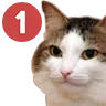 ping5