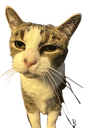 mouseplease