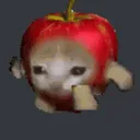 applecat applecat