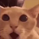 oh_god