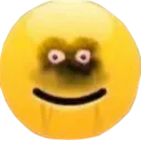 __ __